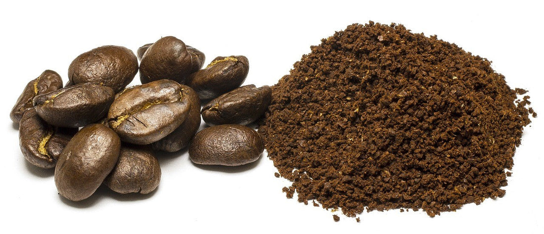 Pourquoi la mouture de café est essentielle : extraction, fraîcheur et micrométrie